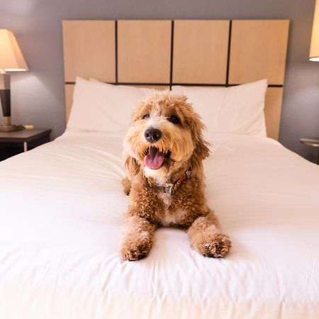 Sonesta Simply Suites Parsippany Morris Plains Eksteriør billede